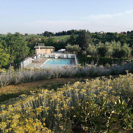 Il Gelso Country House Panzió Castorano  Kültér fotó