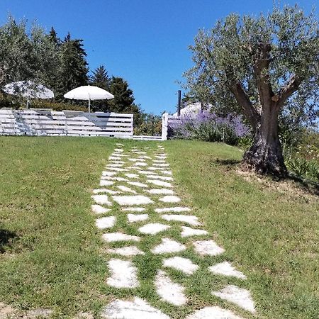 Il Gelso Country House Panzió Castorano  Kültér fotó