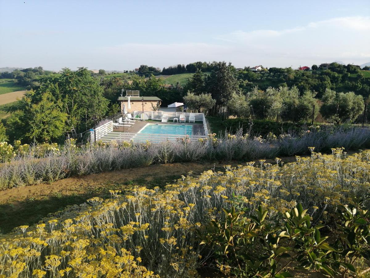 Il Gelso Country House Panzió Castorano  Kültér fotó